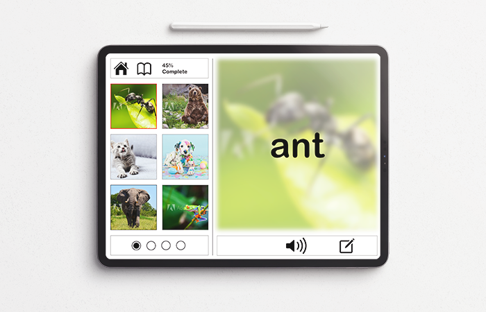 Visual vocabulary builder on iPad
